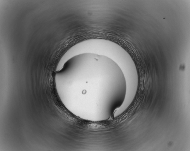 X0000097900614200804111046