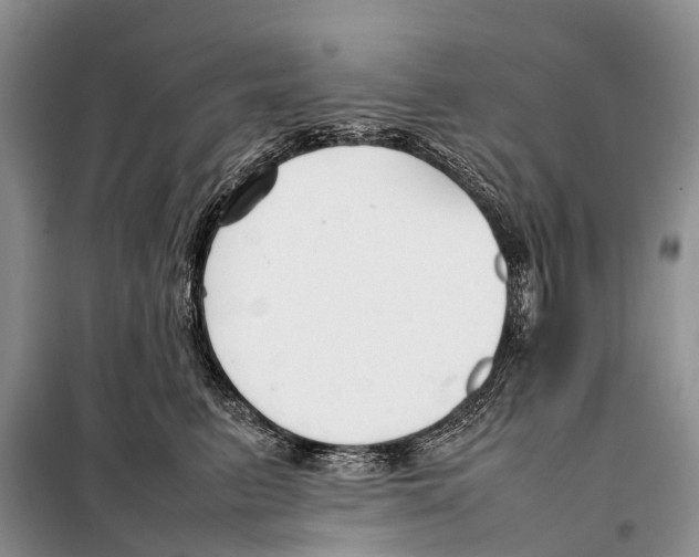 X0000097900615200804111046