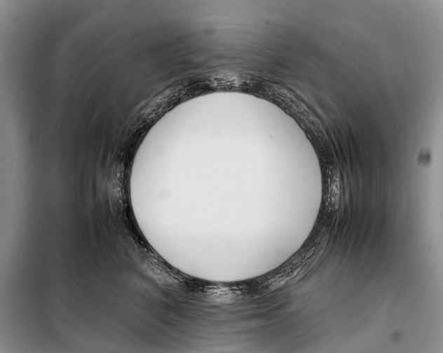 X0000097900616200804111046