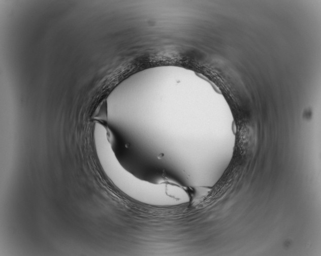 X0000097900617200804111046