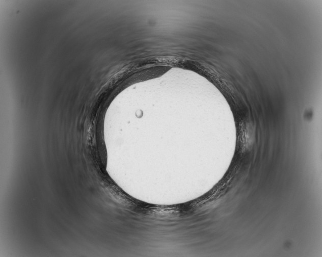 X0000097900619200804111046