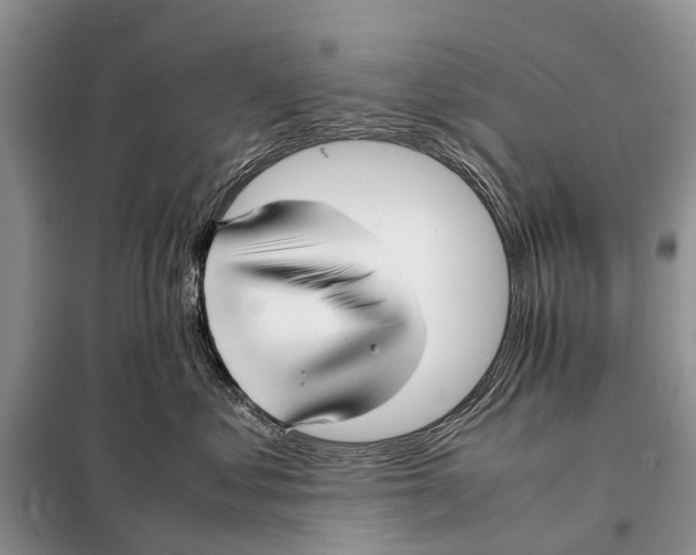 X0000097900621200804111046