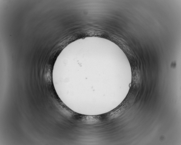 X0000097900622200804111046