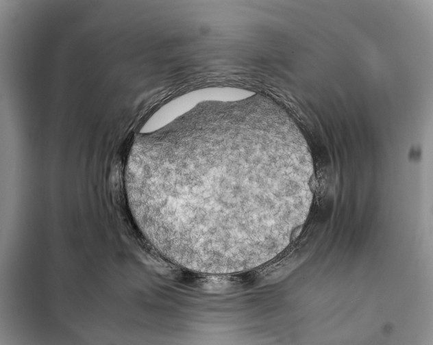 X0000097900623200804111046