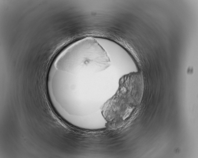 X0000097900625200804111045