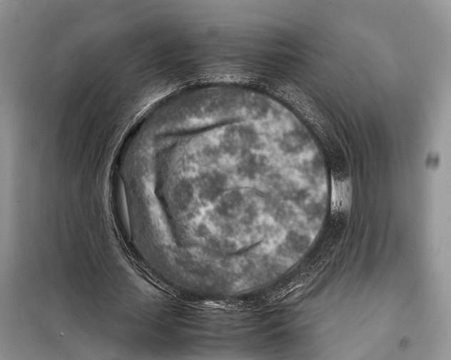 X0000097900627200804111045