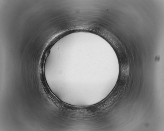 X0000097900628200804111045