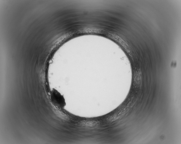 X0000097900629200804111045