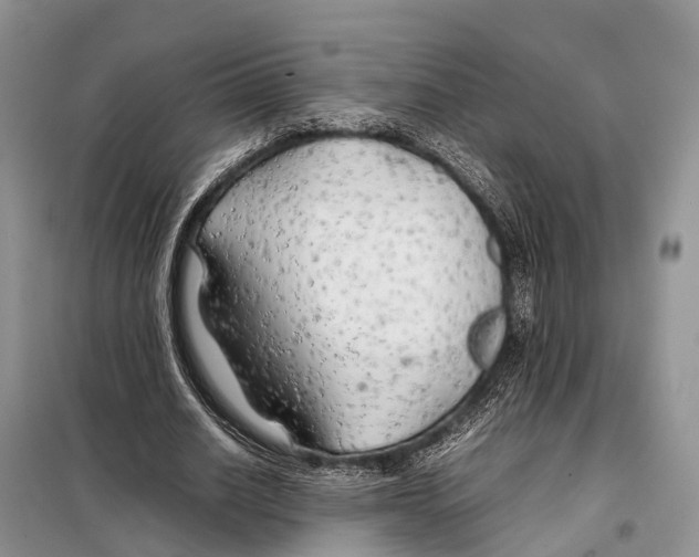 X0000097900630200804111045