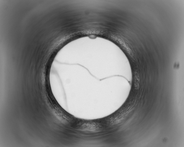 X0000097900631200804111045