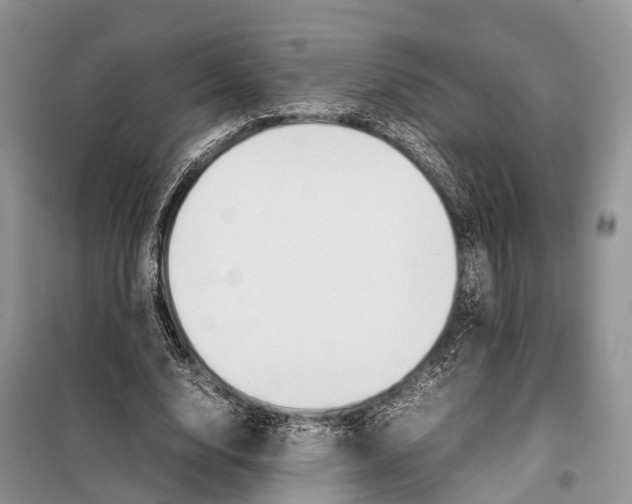 X0000097900632200804111045