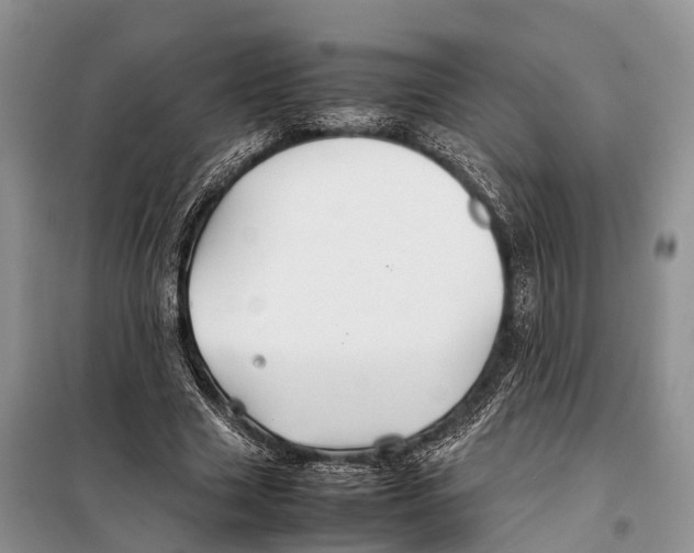 X0000097900633200804111045