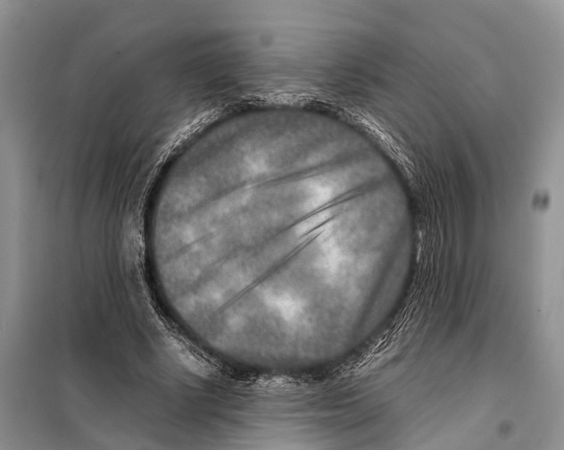 X0000097900634200804111045