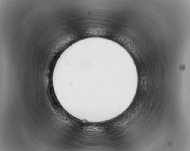 X0000097900635200804111045