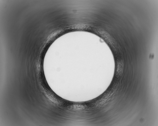 X0000097900636200804111045