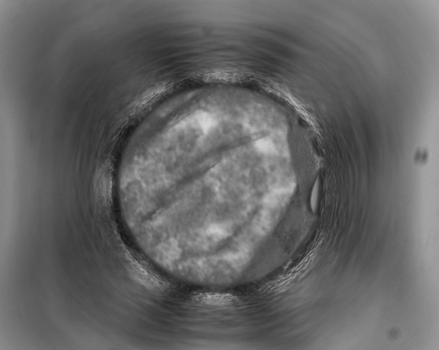 X0000097900637200804111045