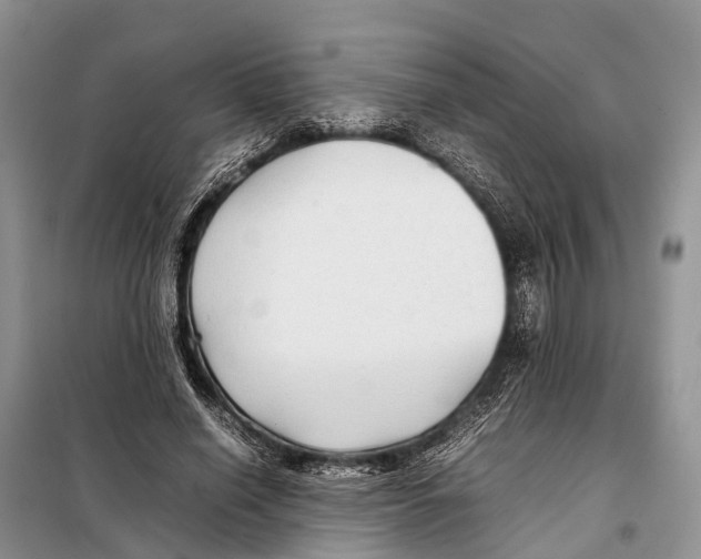 X0000097900638200804111045