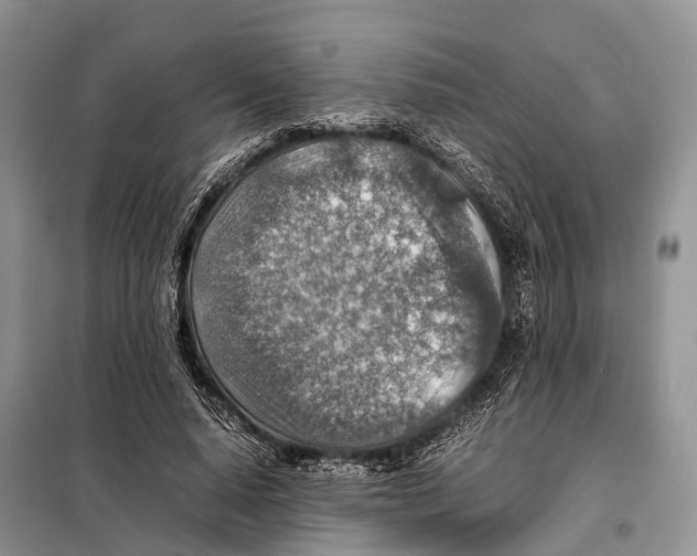 X0000097900640200804111045