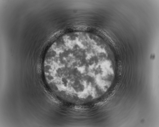 X0000097900641200804111045