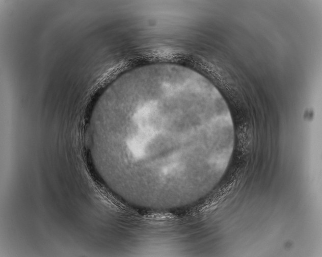 X0000097900642200804111045