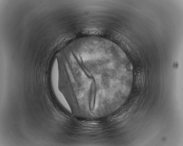 X0000097900643200804111045