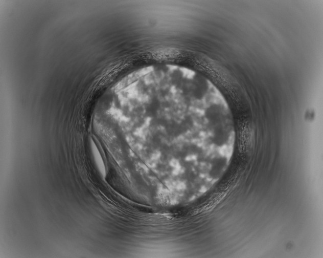 X0000097900644200804111045