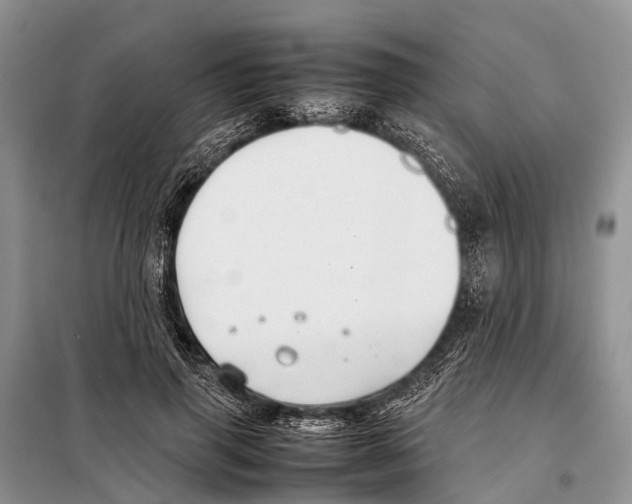 X0000097900645200804111045