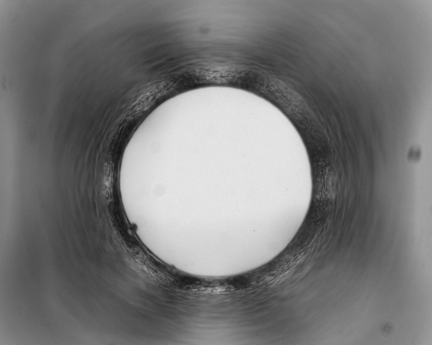 X0000097900646200804111046