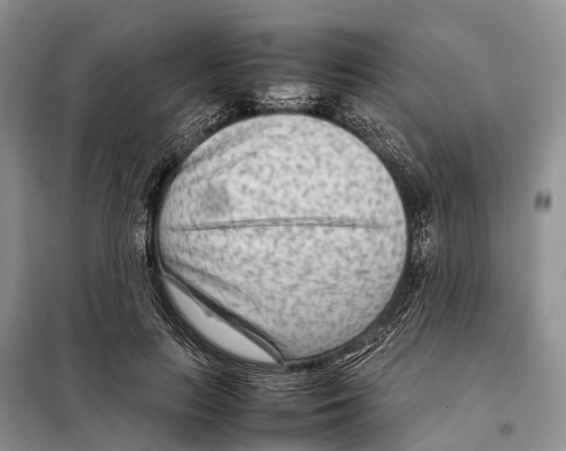 X0000097900647200804111046