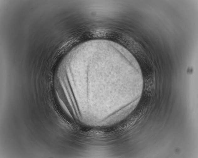 X0000097900648200804111046