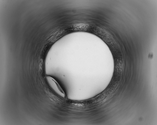 X0000097900649200804111046