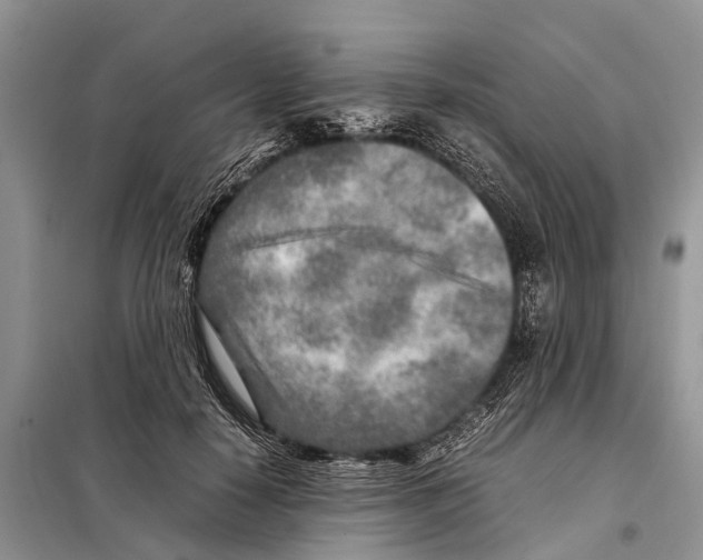 X0000097900650200804111046