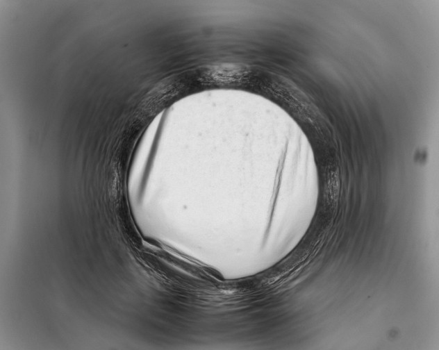 X0000097900651200804111046