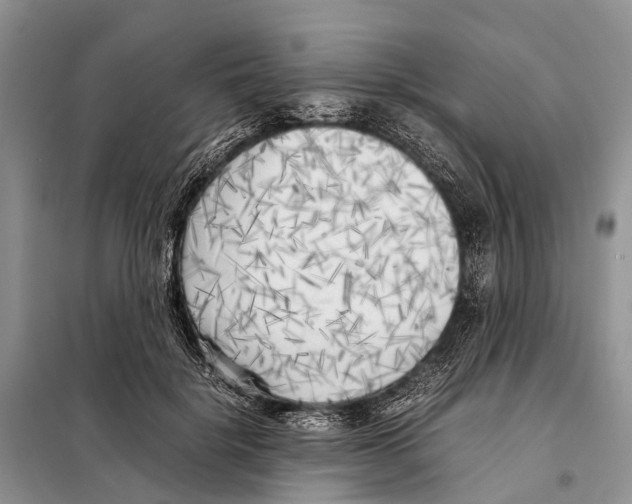 X0000097900652200804111046