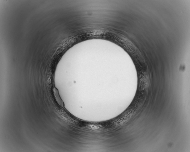 X0000097900654200804111046