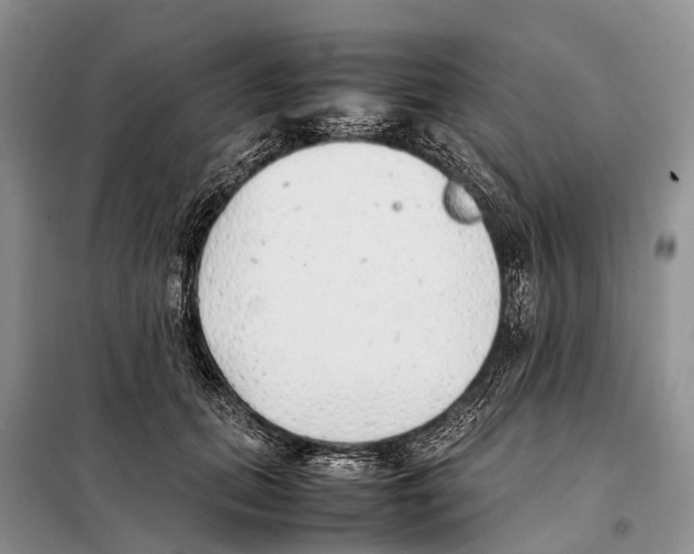 X0000097900655200804111046