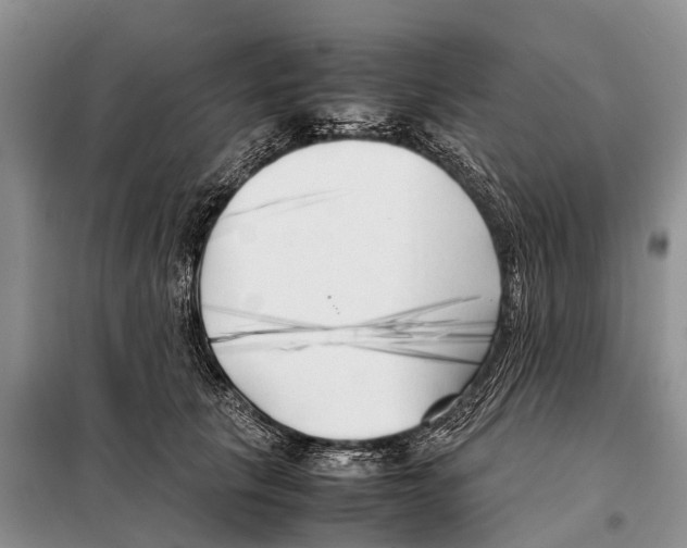 X0000097900657200804111046