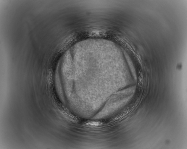 X0000097900659200804111046