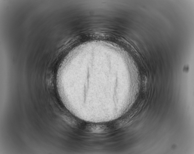 X0000097900663200804111046