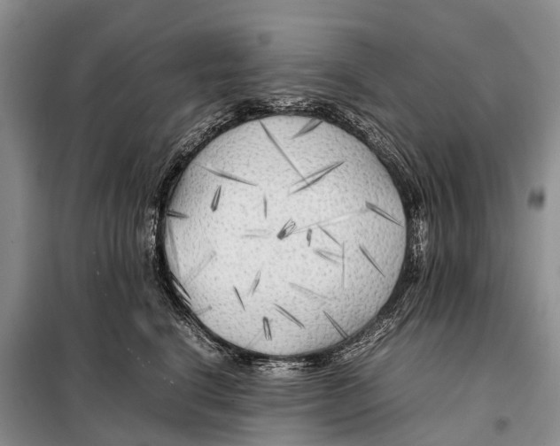 X0000097900664200804111046