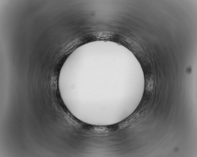 X0000097900666200804111046