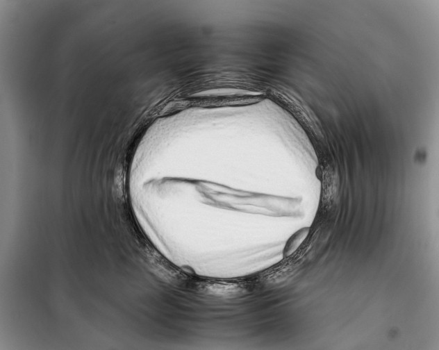 X0000097900669200804111046