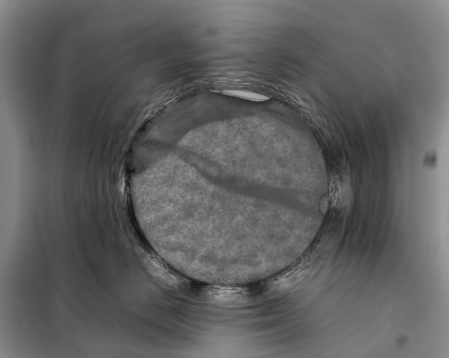 X0000097900670200804111046