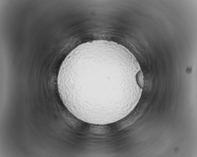 X0000097900671200804111046