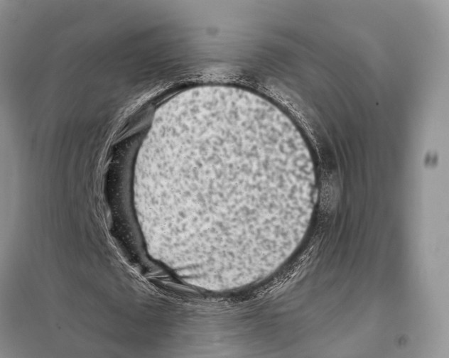 X0000097900673200804111045