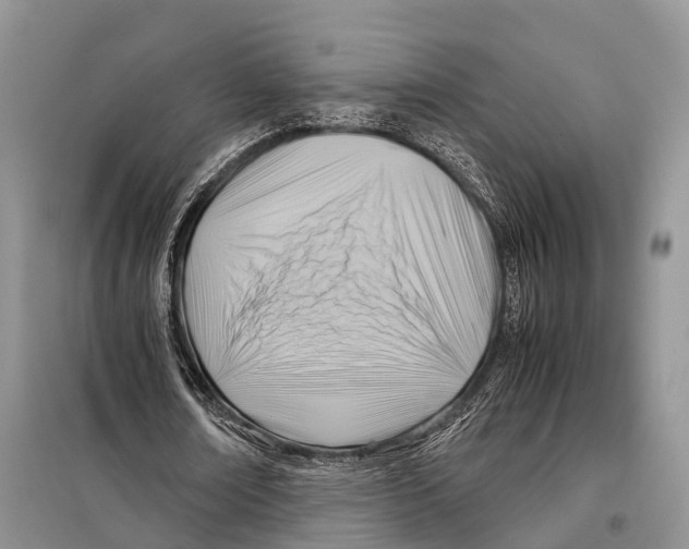 X0000097900674200804111045