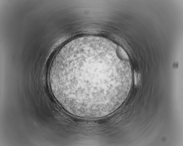 X0000097900675200804111045