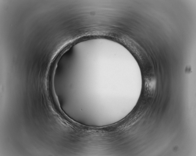 X0000097900676200804111045