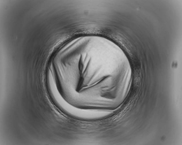 X0000097900677200804111045