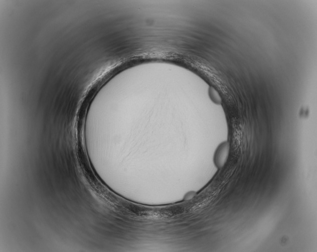 X0000097900678200804111045